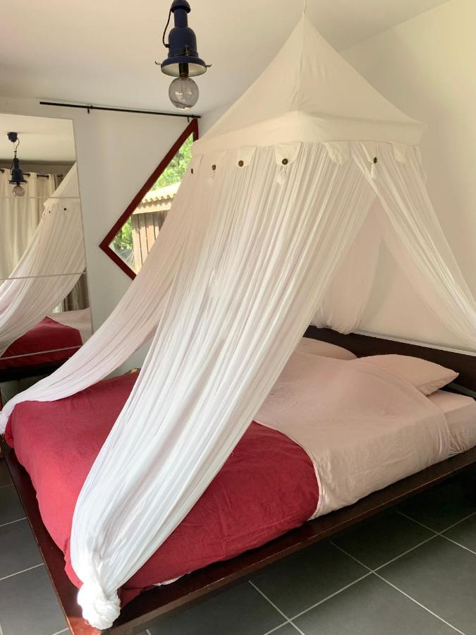 House De La Canopee, Swimming Pool, Lake, Forest, Large Garden And Wifi Hourtin Exterior foto