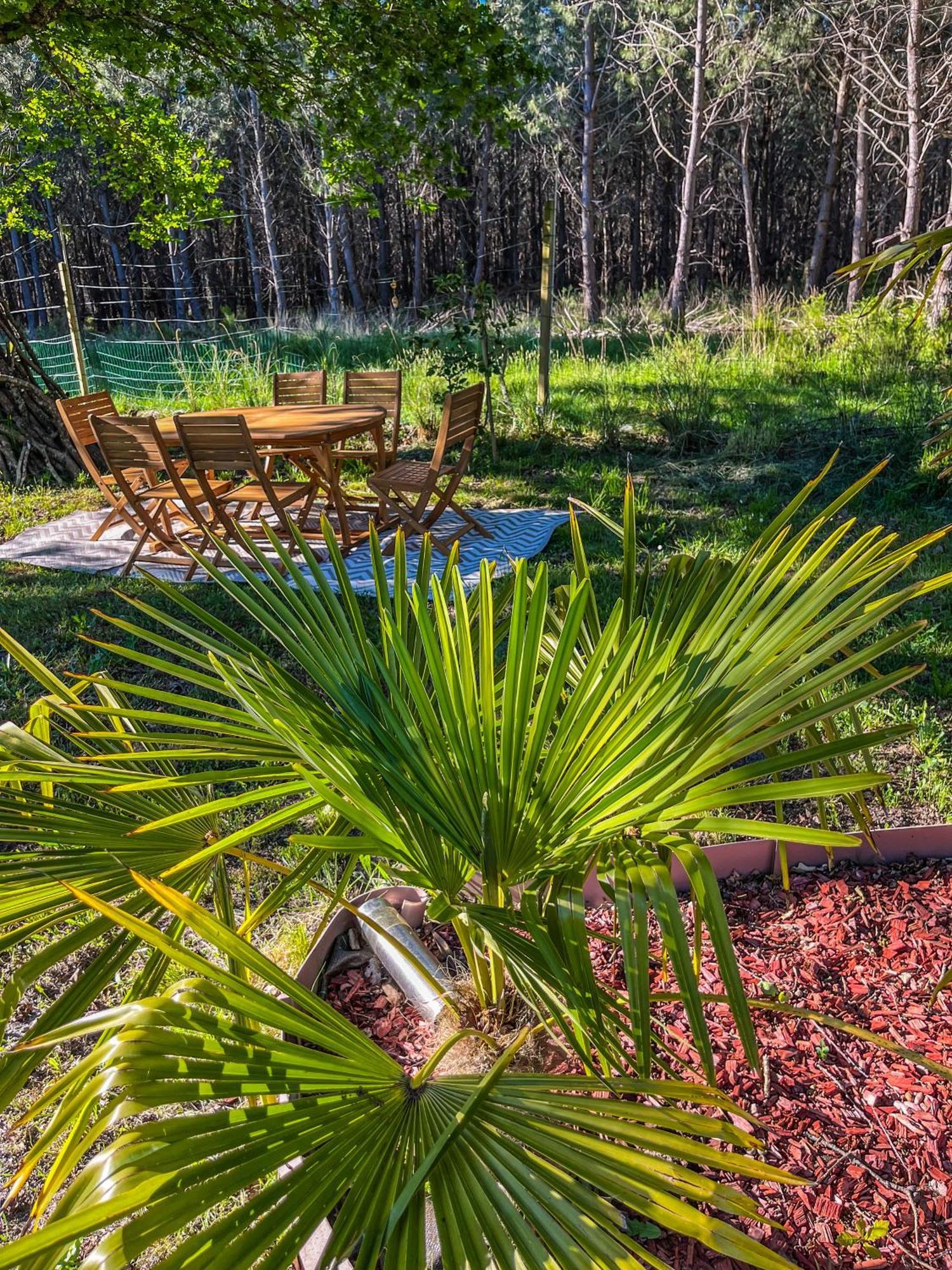 House De La Canopee, Swimming Pool, Lake, Forest, Large Garden And Wifi Hourtin Exterior foto
