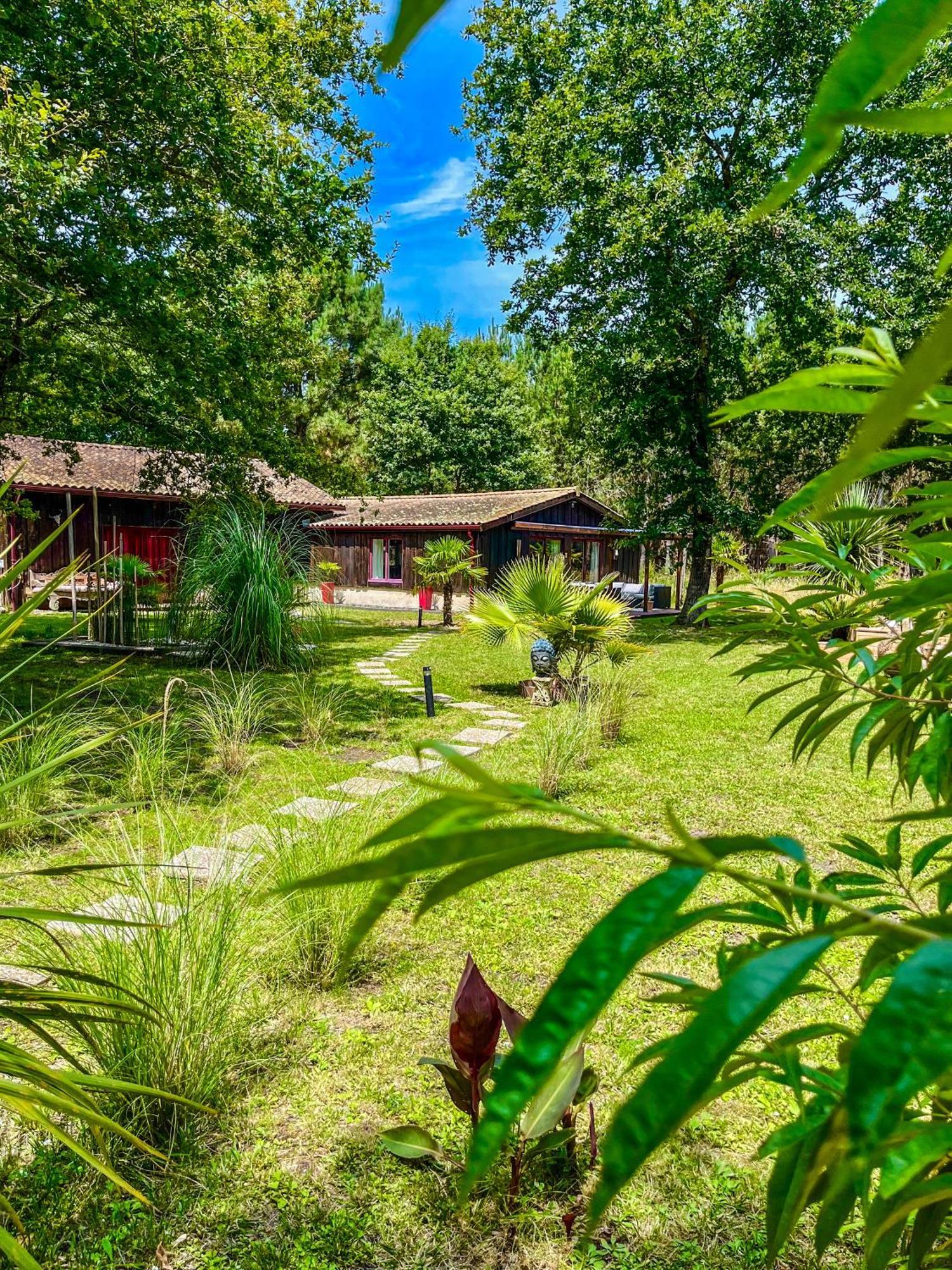 House De La Canopee, Swimming Pool, Lake, Forest, Large Garden And Wifi Hourtin Exterior foto